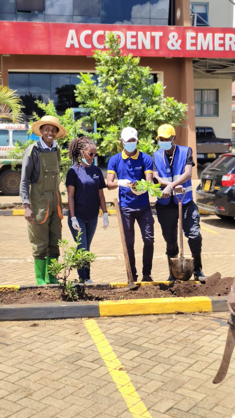 Tree Planting